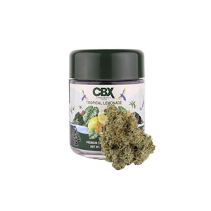 CBX Cannabiotix - Tropical Lemonade 3.5g