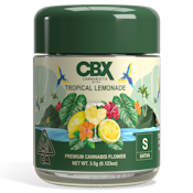 Tropical Lemonade 3.5g Jar - CBX