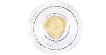 Humboldt Terp Council - 707 Headband Live Rosin - 1g