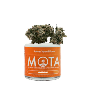 MOTA - Mota Flwr 8th Mazapan