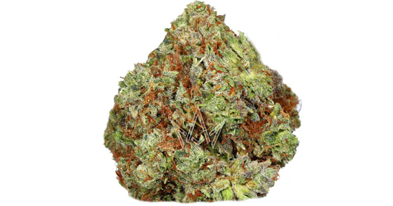 Claybourne Co. - Claybourne Co. - King Louis OG - 3.5g