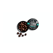 Kiva -- Terra Bites -- Chocolate Peppermint (100mg)
