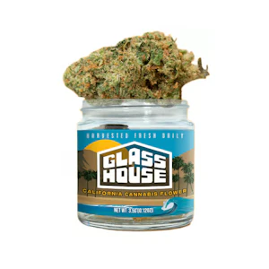 Glass House - Next Day - Infamous MF - Jarred (Eighth)