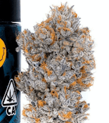 [Connected] Flower - 14g - Biscotti (H)
