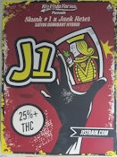 J1 Poster