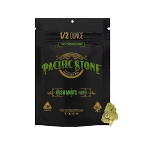 Pacific Stone - Pacific Stone 14g 805 Glue 