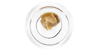 Bear Labs - Papayahuasca Live Rosin (Tier 3) - 1g