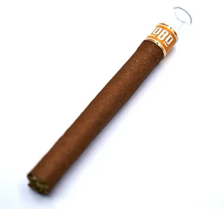 Lobo - The 1937 Group - LOBO | Presidente Blunt | Slurricane | 2g