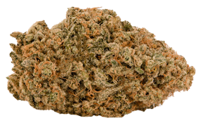ORANGUTAN (PRE-PACKED 1G) ADULT-USE