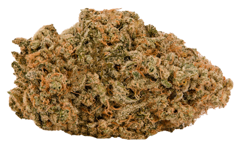 HEAVYWEIGHT HEADS - ORANGUTAN (PRE-PACKED 1G) ADULT-USE