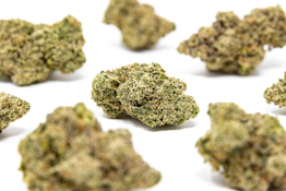 SUNSHINE (PRE-PACKED 1G) ADULT-USE