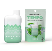 [TEMPO] ALL IN ONE VAPE - 1G - KUSH MINTS ICE (H)