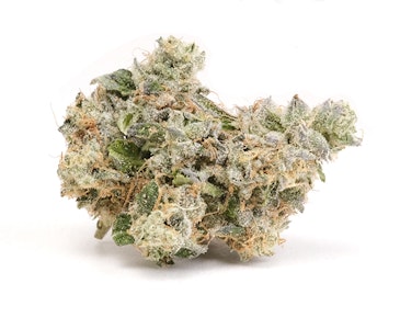 UpNorth - Cheetah Piss 3.5g