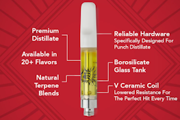 [PUNCH] CARTRIDGE - 1G - GELATI (I)