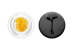[Raw Garden] Live Resin - 1g - Strawberry Jack #13 (S)
