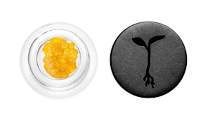 [RAW GARDEN] LIVE RESIN - 1G - HELLA JELLY (S)