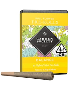 GARDEN SOCIETY - Governmint Oasis 10pk