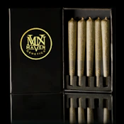 [MAVEN] PREROLL 5PK - 2.5G - ORANGE BELLINI (S)