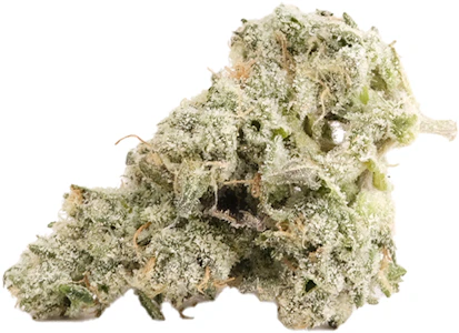 Fig Farms - Donut Shop 3.5g