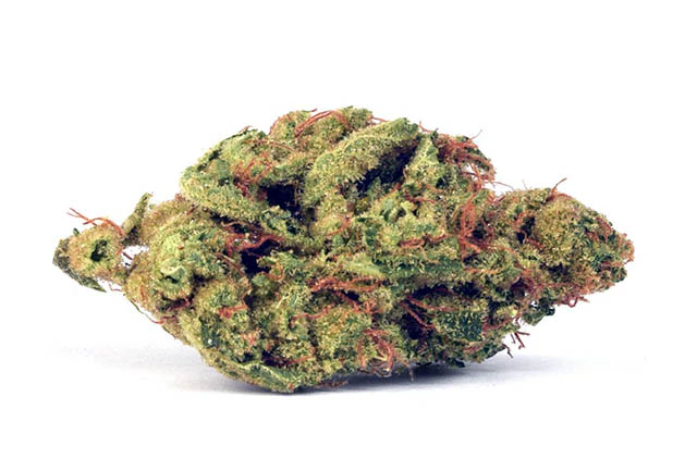 ORIGIN CRAFT CANNABIS - BANANA PUDDINTAIN 14G Main Image
