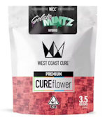 [WEST COAST CURE] FLOWER - 3.5G - GELATO MINTZ (H)