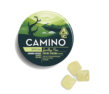 CAMINO - [CAMINO] CBD GUMMIES - 40MG - SPARKLING PEAR 1:3