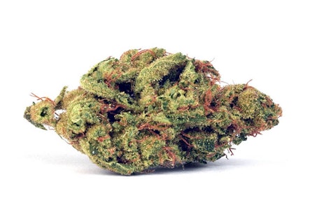 Origin Craft Cannabis - BANANA PUDDINTAIN 3.5G