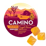 CAMINO: PINEAPPLE HABANERO GUMMIES 100MG 20PK