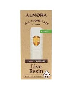 ALMORA - [ALMORA] ALL IN ONE - 1G - GEORGIA PIE (H)