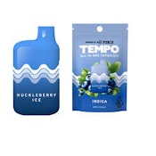 [TEMPO] ALL IN ONE VAPE - 1G - HUCKLEBERRY ICE (I)