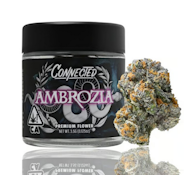 [CONNECTED]  FLOWER - 3.5G - AMBROZIA (H)