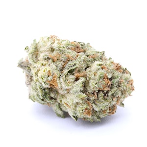 Wave Rider - Zilato Smalls 14g