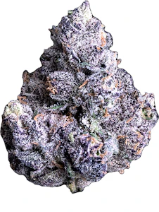 MAVEN GENETICS - Prizm Minis 14g