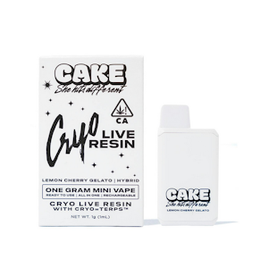 CAKE - [CAKE] LIVE RESIN ALL IN ONE - 1G - Strawguava (H)