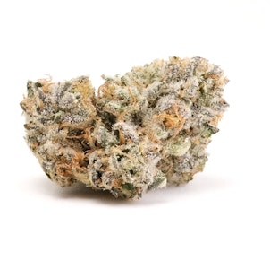 MAVEN GENETICS - Sour Sangria Minis 14g