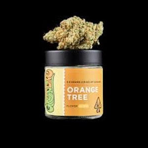 GREENLINE - [GREENLINE] FLOWER - 3.5G - ORANGE TREE (S)
