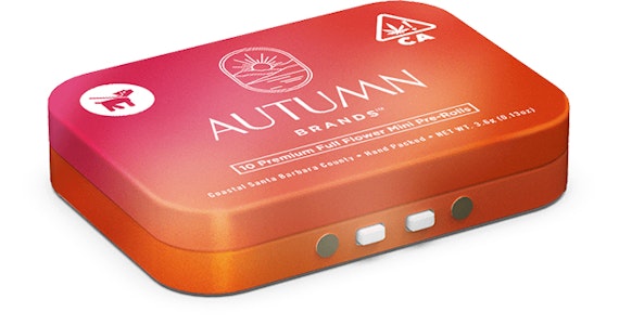 AUTUMN BRANDS - SLAPZ 10PK