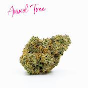 Animal Tree (Pre-Packed 1G) Adult-Use