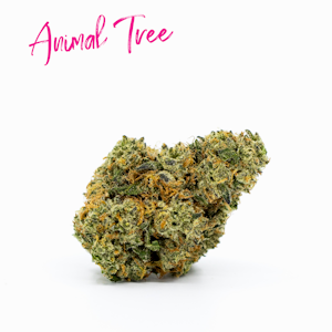 SIX LABS - Animal Tree (Pre-Packed 1G) Adult-Use