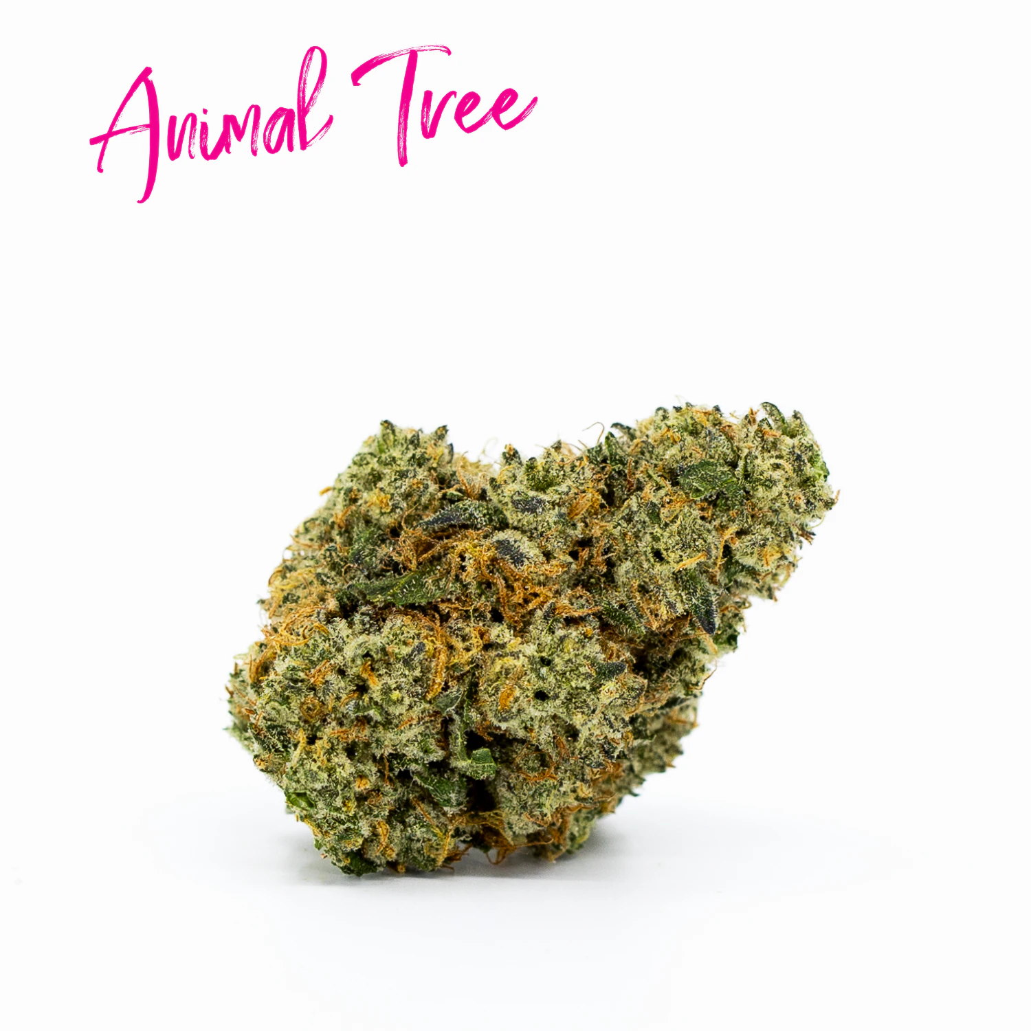 Six Labs - Animal Tree (Pre-Packed 1G) Adult-Use Main Image