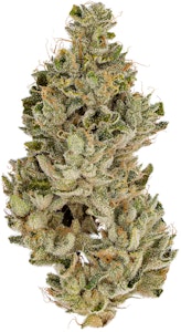 CANNABIOTIX - SUBLIME LIME 3.5G