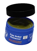 PAIN RELIEF OINTMENT 2OZ 350 MG