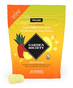 PINEAPPLE CBG 1:1 GUMMIES