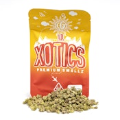 LIL XOTICS RUNTZ 14G