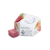[WYLD] CBD GUMMIES - 1:1 - POMEGRANATE (H)