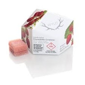 [WYLD] CBD GUMMIES - 20:1 - STRAWBERRY (H)