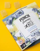 [Punch] Gummies - 100mg - Blueberry Lemonade (H)