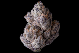 [MAVEN] FLOWER - 3.5G - LIPSMACKERZ (H)