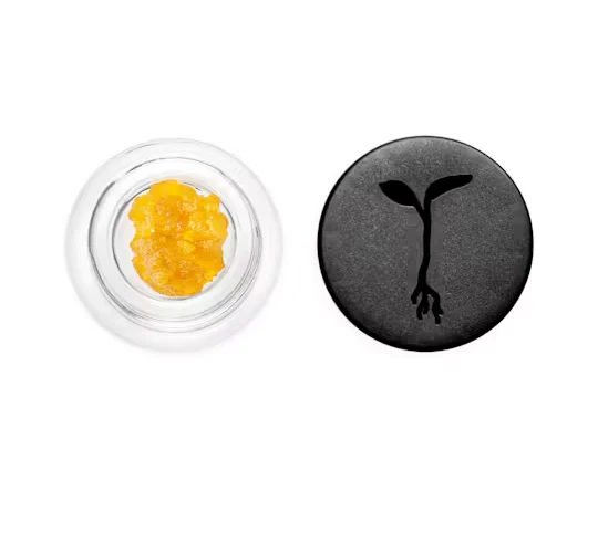 Raw Garden - [Raw Garden] Live Resin - 1g -  Sour Orange Margarita (S) Main Image