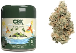 [CANNABIOTIX] FLOWER - 3.5G - TROPICANNA (S)